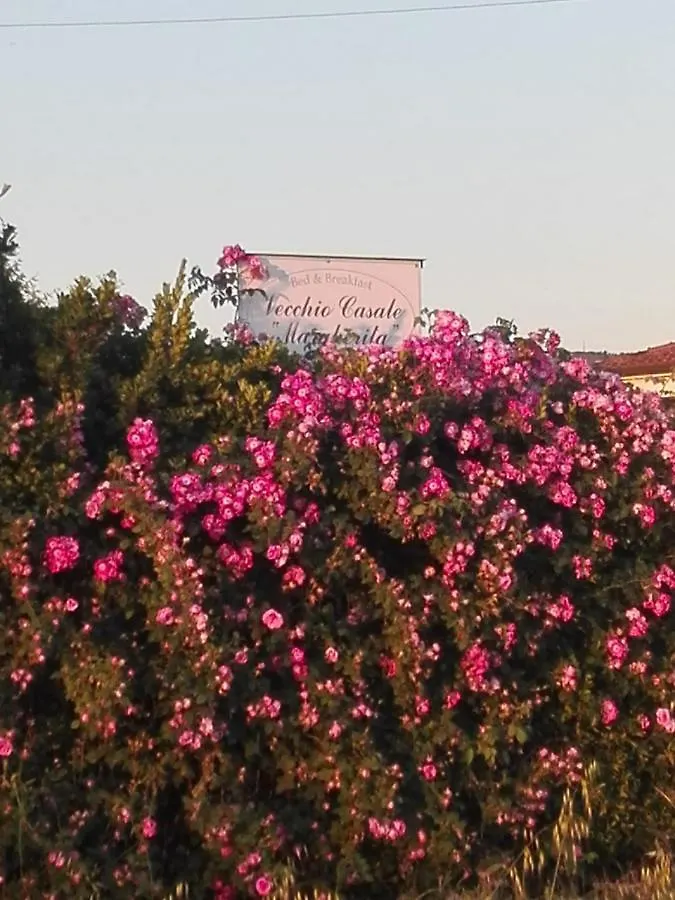 Bed & Breakfast Vecchio Casale Margherita Camaiore