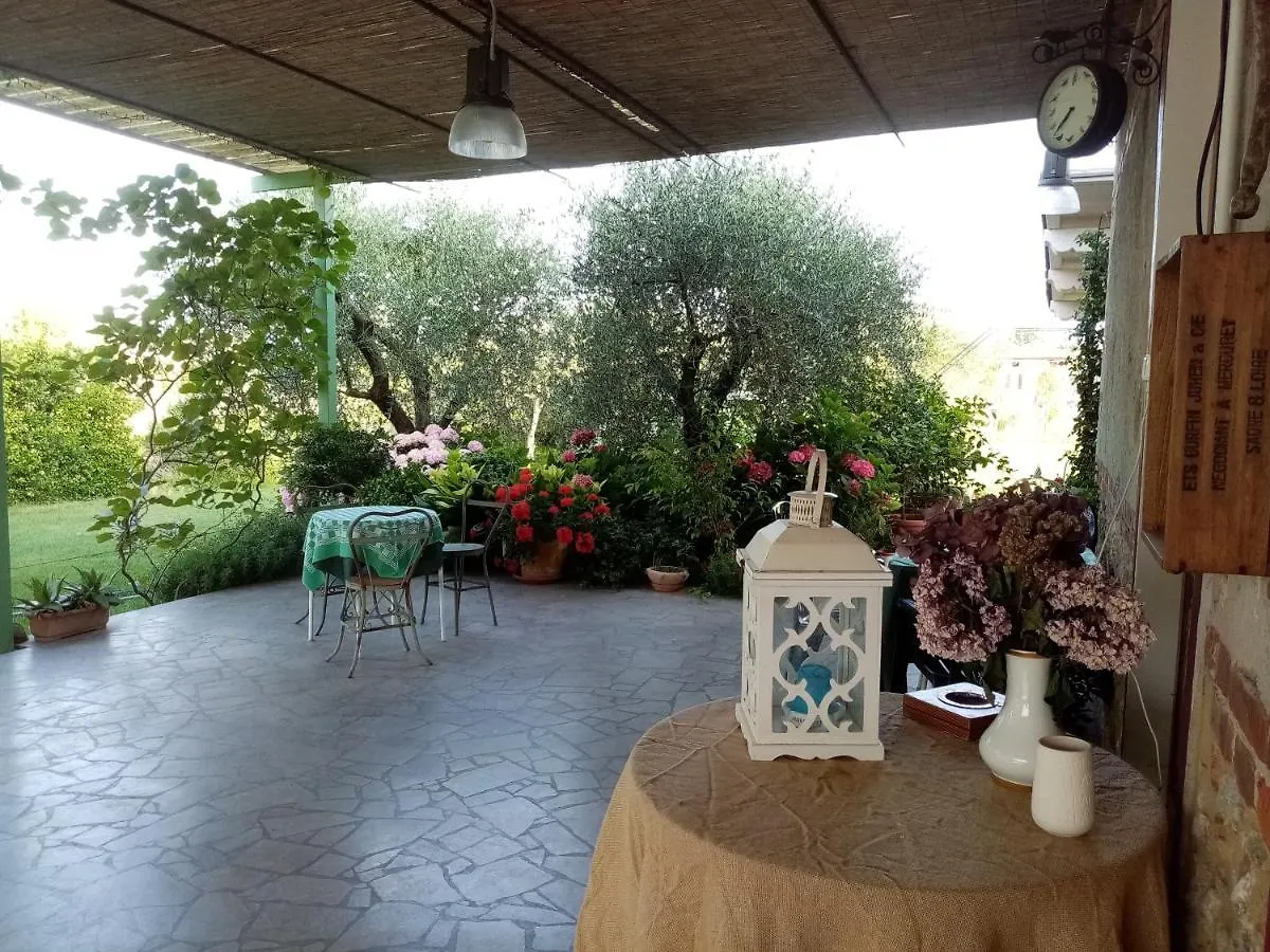 Vecchio Casale Margherita Camaiore